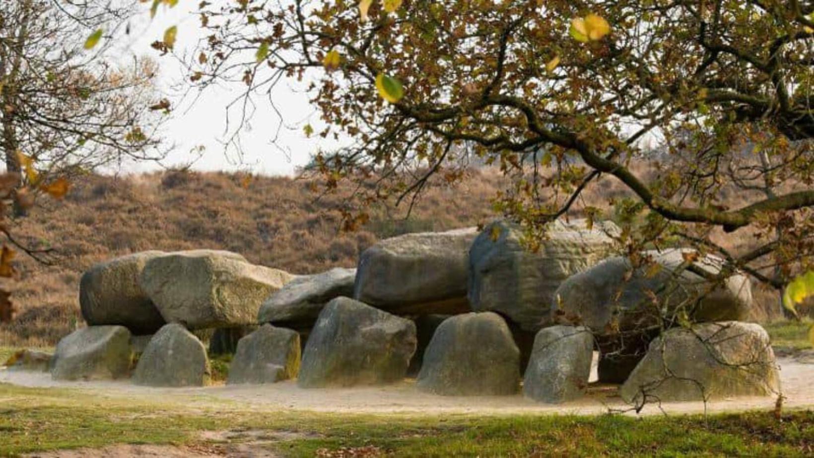 Vakantiepark De Toffe Peer 뤼너볼드 외부 사진